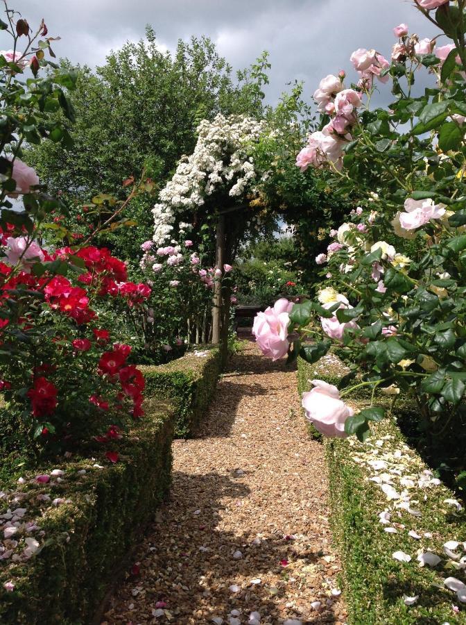 Hollyhock Cottage, Clematis Cottages, Stamford Buitenkant foto
