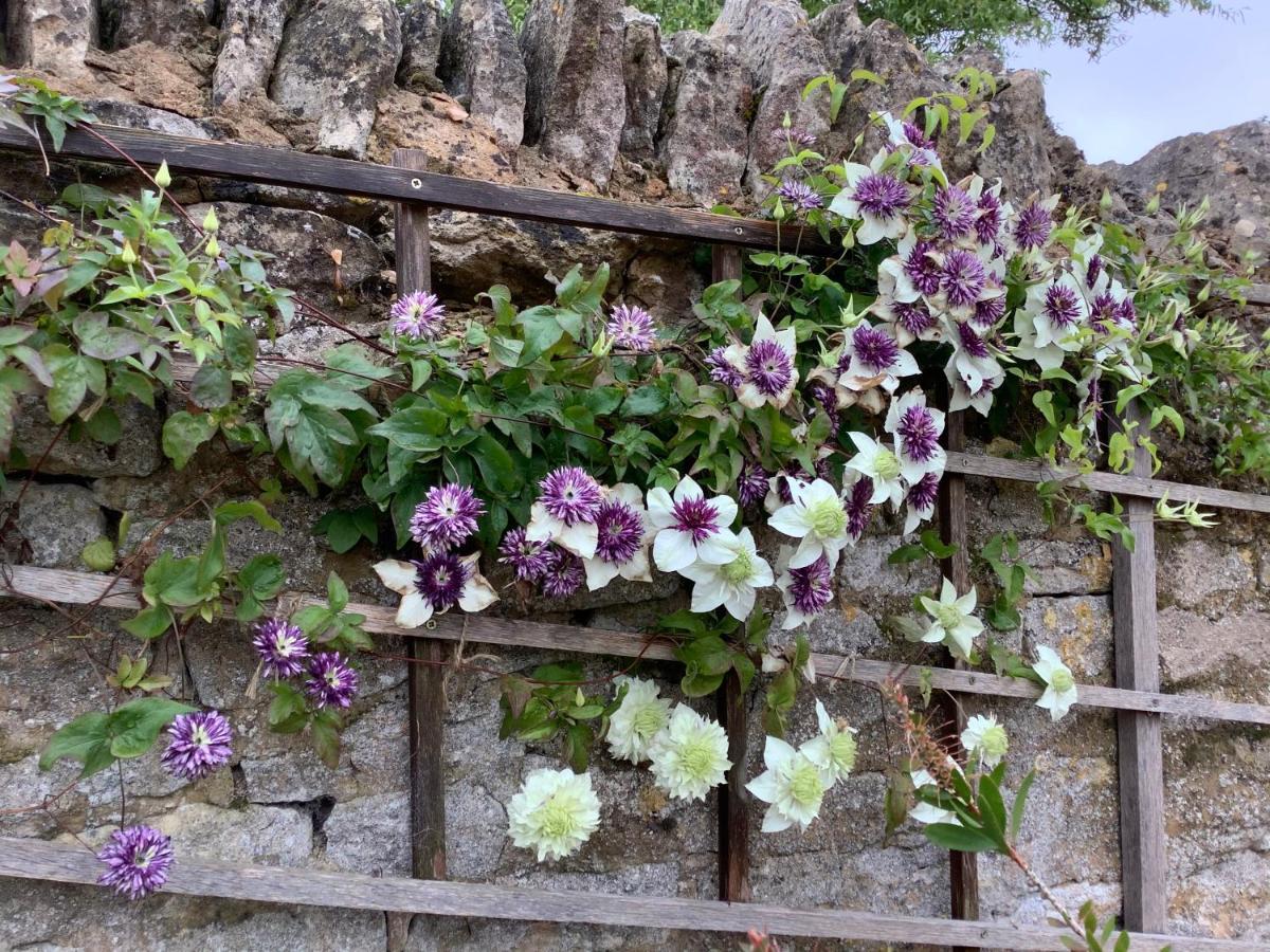 Hollyhock Cottage, Clematis Cottages, Stamford Buitenkant foto