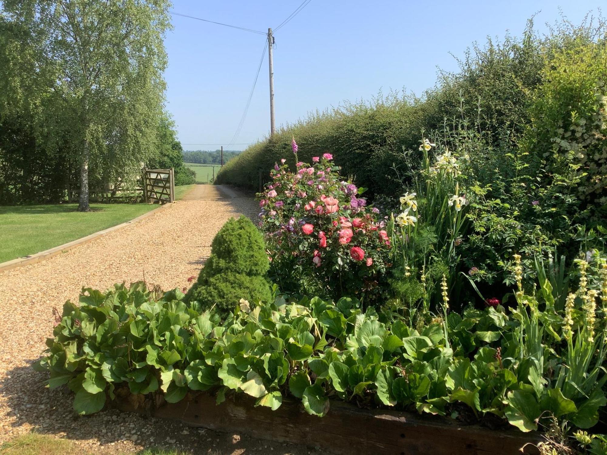 Hollyhock Cottage, Clematis Cottages, Stamford Buitenkant foto